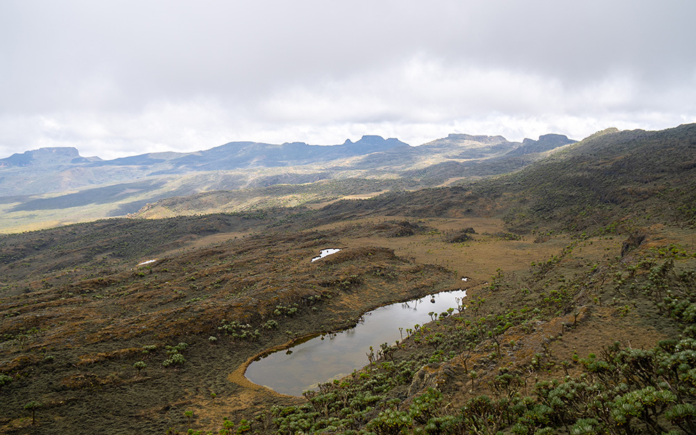 A caldera on Mount Elgon