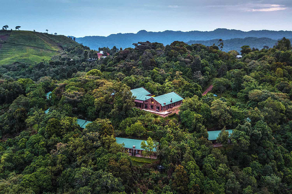 A lodge in Bwindi Impenetrable forest National Park