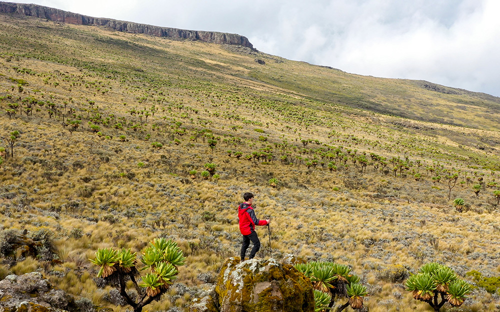 A tourist enjoying the Mt Elgon beautiful scenery