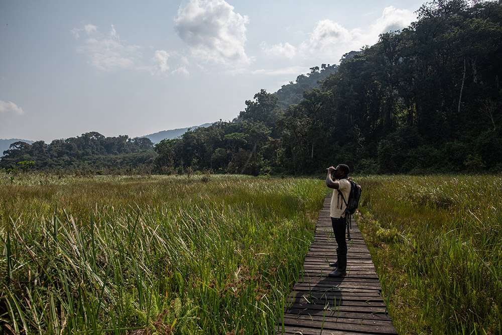 A tourist on a nature walk in Nyungwe National Park