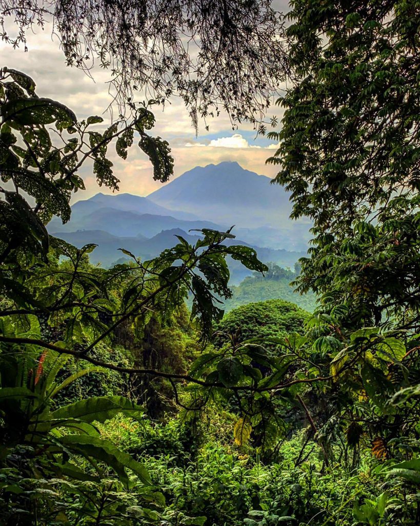 A view of Volcanoes National Park