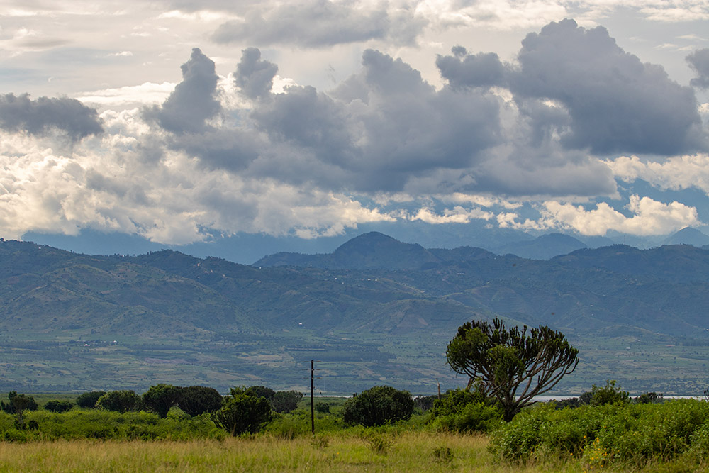 A view of the Rwenzori Ranges from Queen Elizabeth National Park
