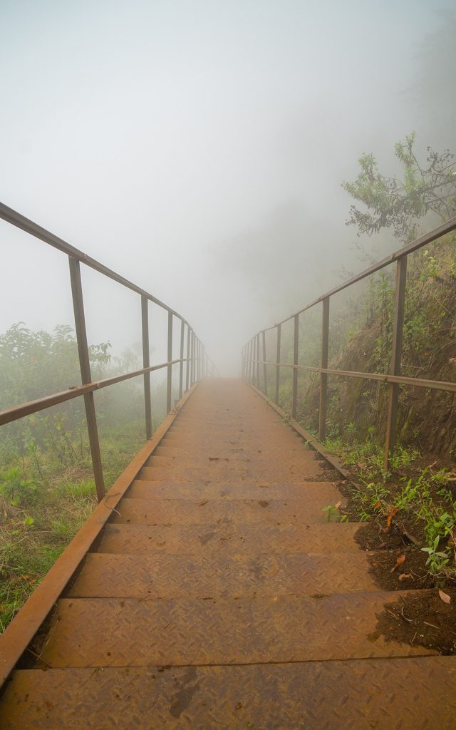 A walking trail on Mt Elgon
