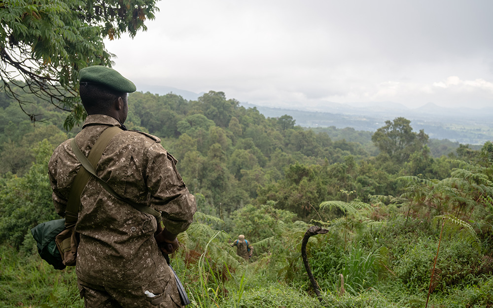 A wildlife ranger monitoring the Mgahinga forest