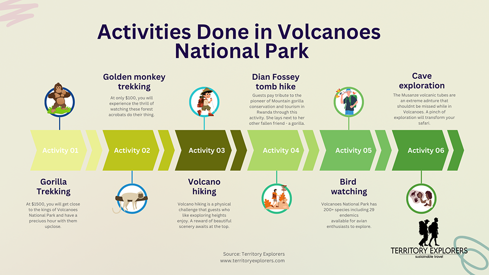 Activities done in Volcanoes National Park