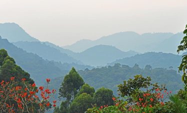 An aerial view of Bwindi Impenetrable Forest