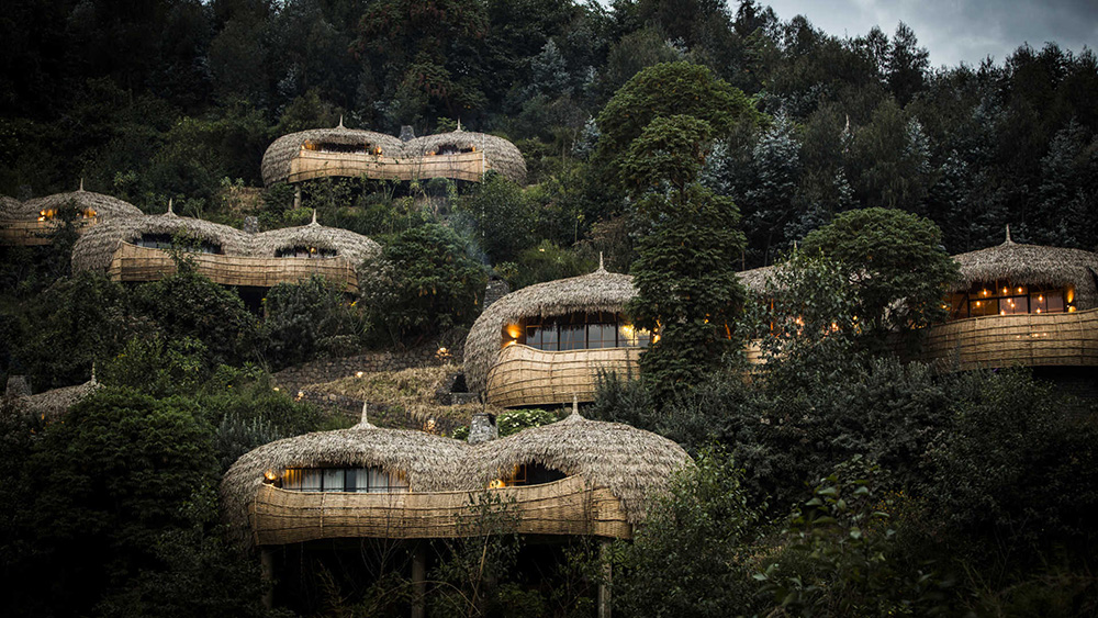 Bisate lodge Rwanda