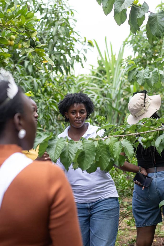 Coffee plantation tours at Kaynela Farms Uganda_Territory Explorers