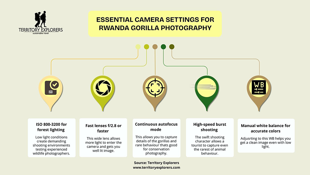 Essential Camera Settings for Rwanda gorilla Photography_Territory Explorers