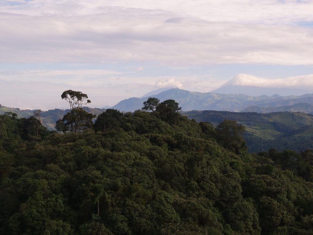 Gishwati Mukura National Park