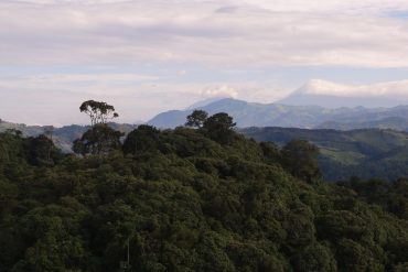 Gishwati Mukura National Park