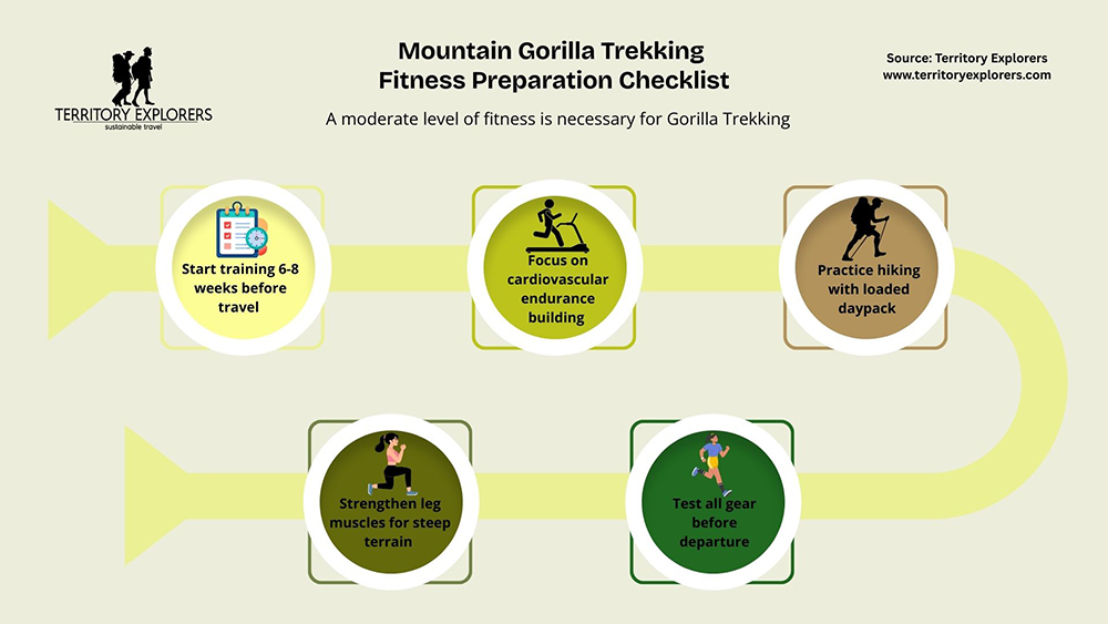 Gorilla trekking fitness preparation checklist