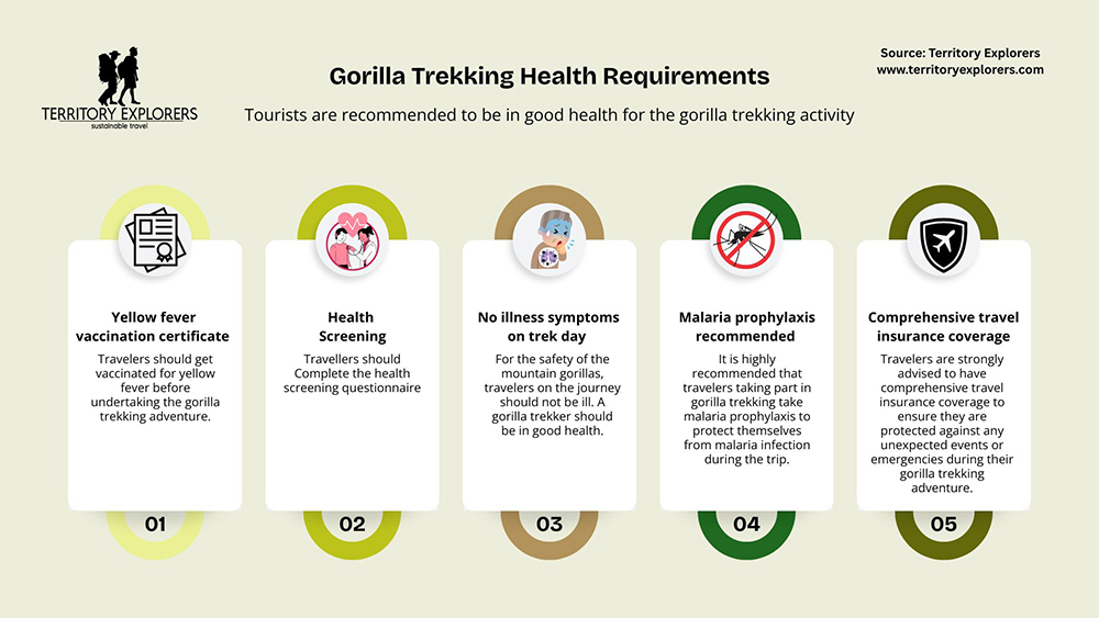 Gorilla trekking health requirements_Territory Explorers