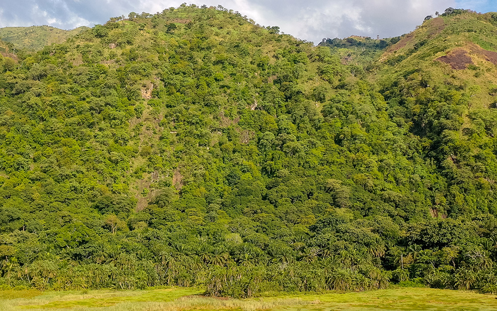 Highland forests in Semuliki