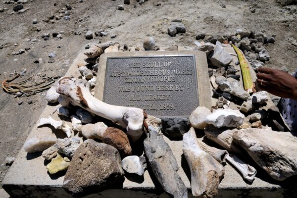 Human remains at Olduvai Gorge Archeological Site Tanzania