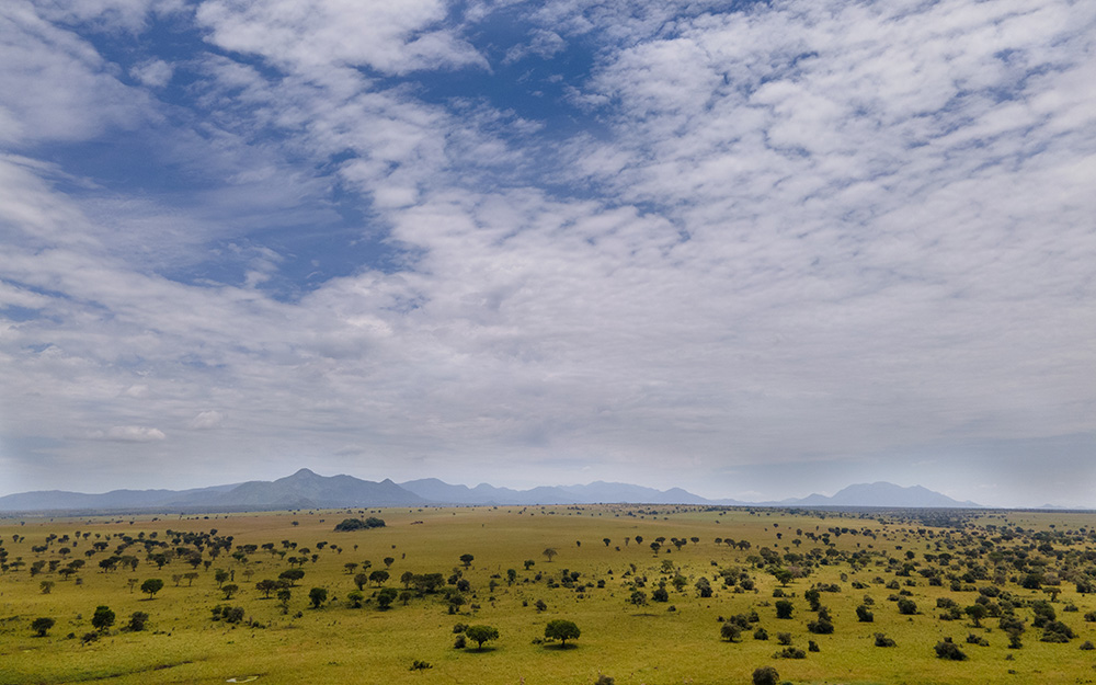 Kidepo Valley National Park Landscape