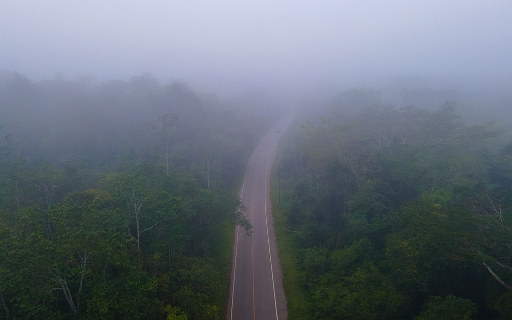 Mist hangs above and within the canopy of Kibale Forest