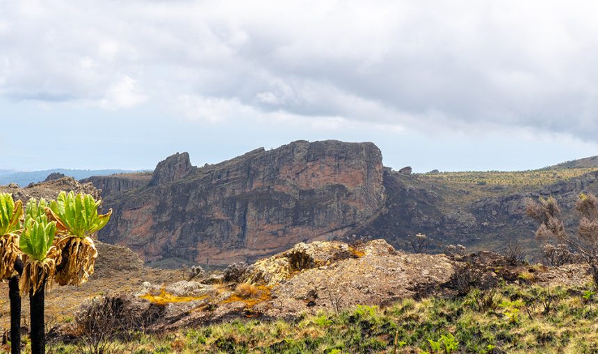 Mount Elgon National Park
