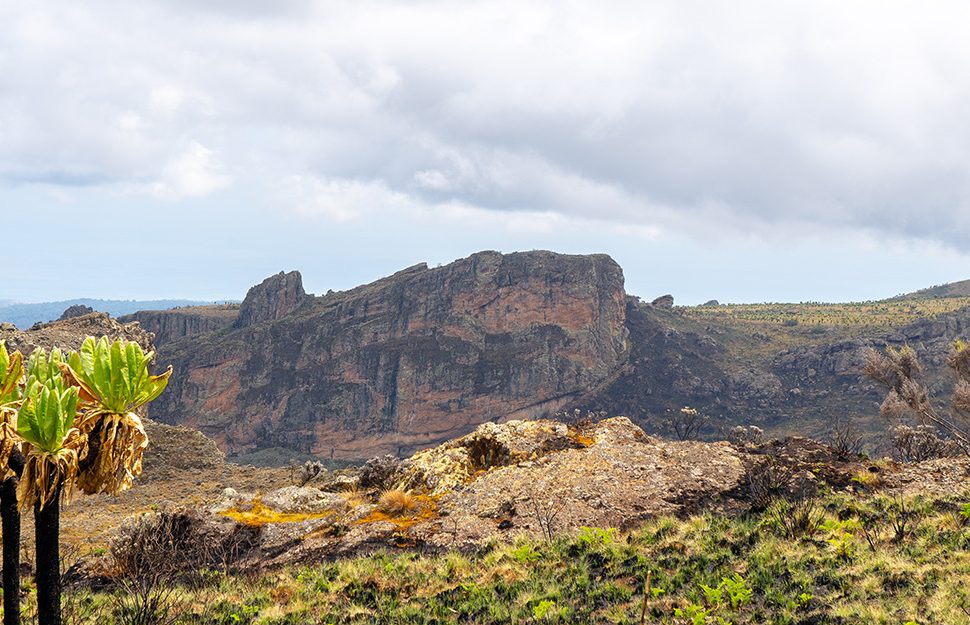 Mount Elgon National Park