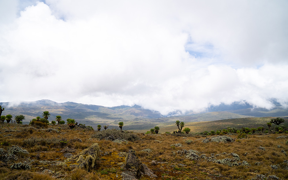 Mount Elgon high above the clouds