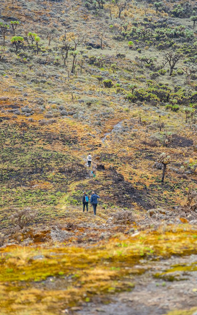 Mountain climbers on Elgon