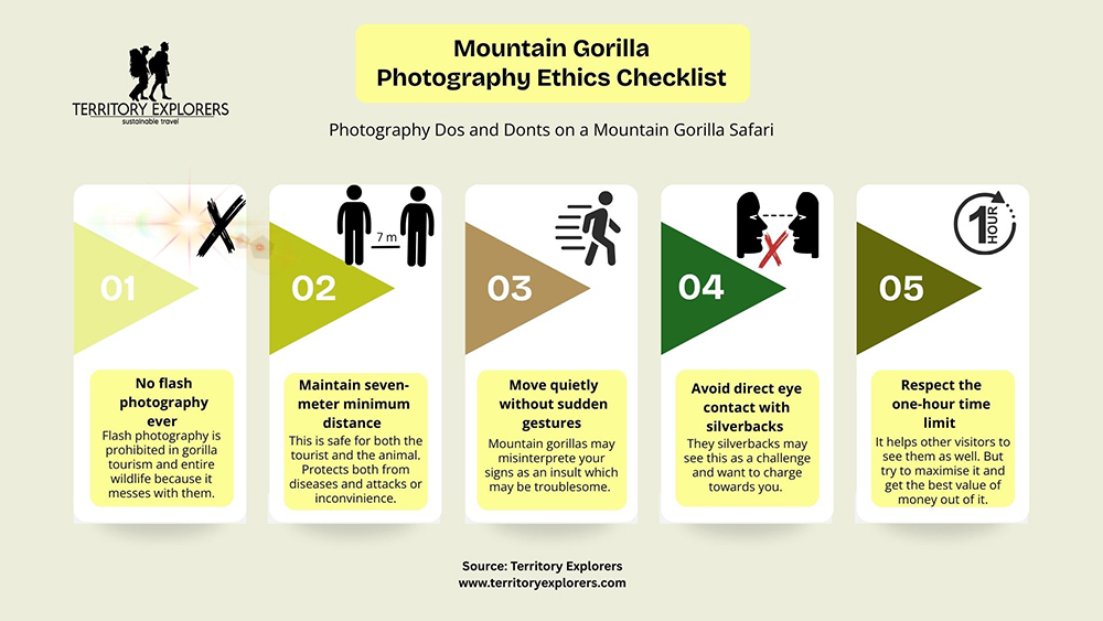Mountain-gorilla-photography-ethics