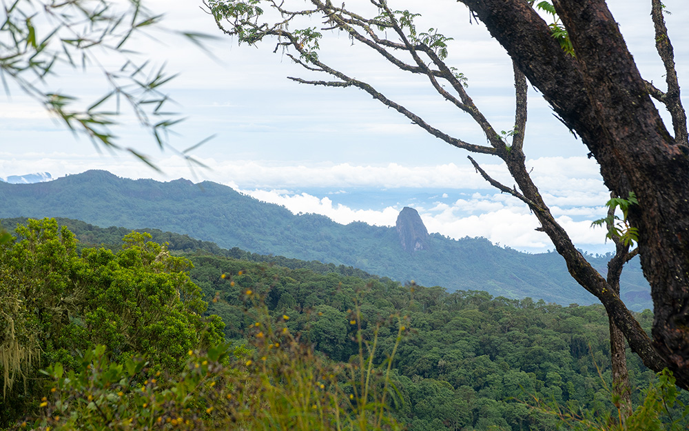 Mt Elgon NP views