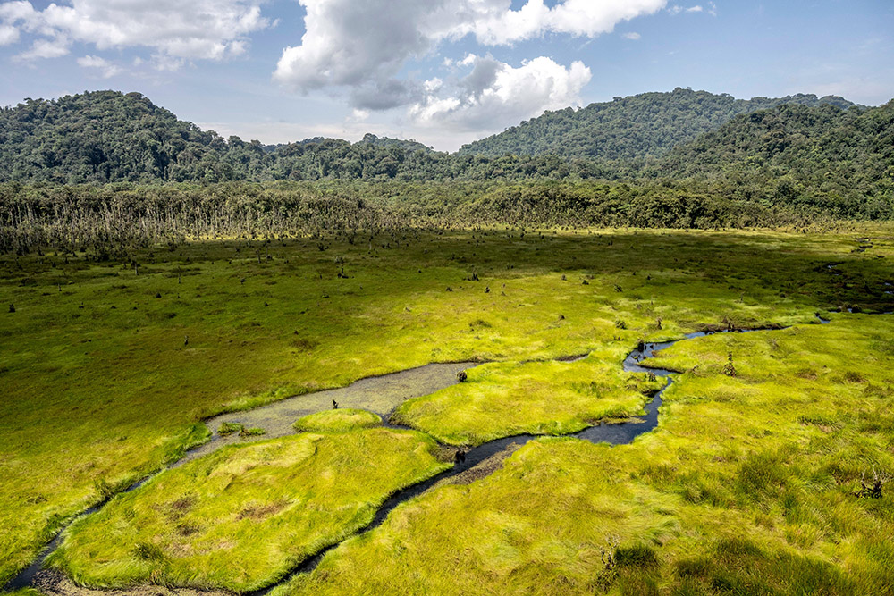 Nyungwe National Park landscape