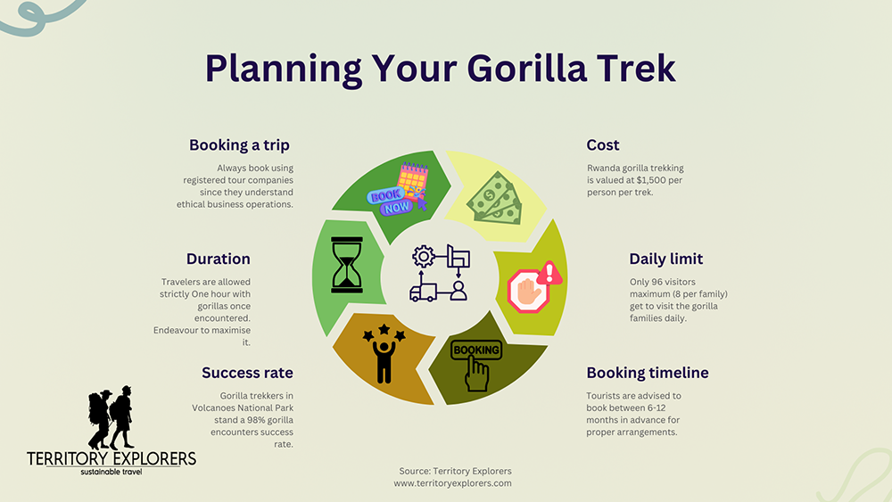 Planning your gorilla trek