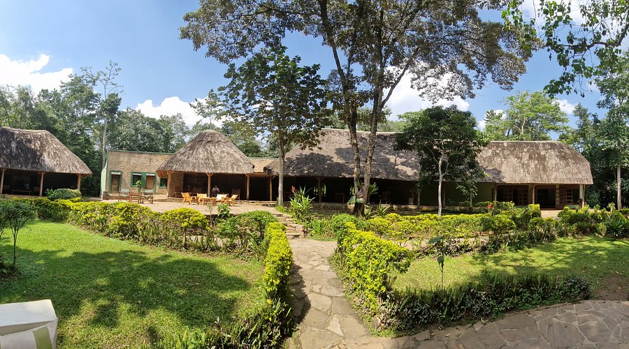 Primate Lodge Kibale