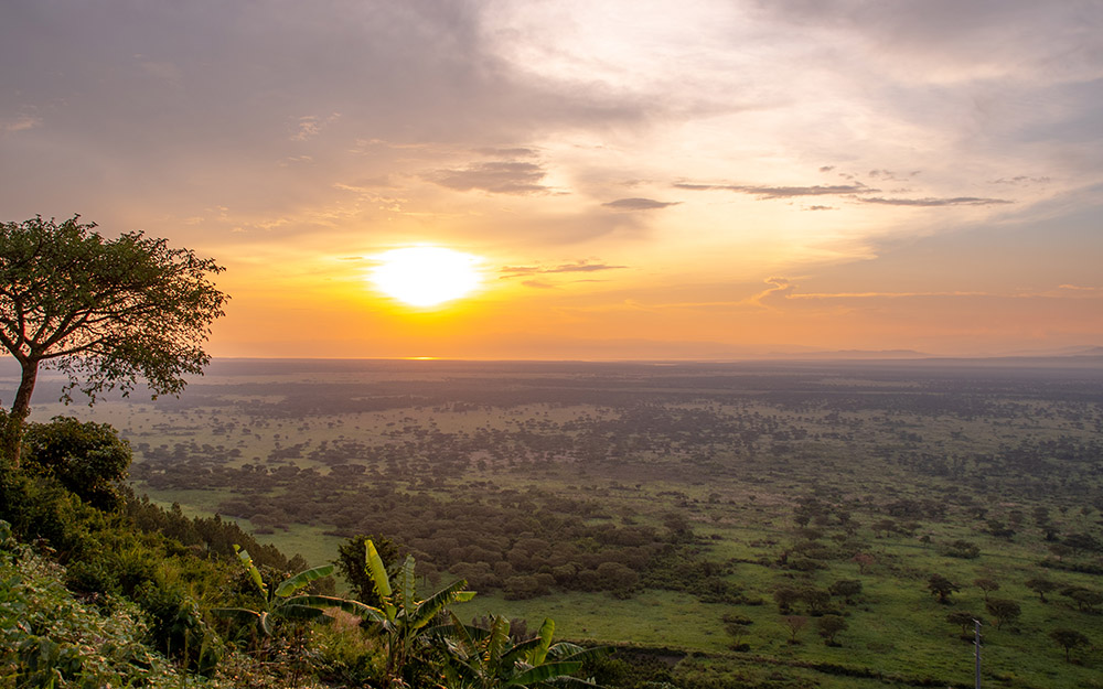 Queen Elizabeth national Park landscape