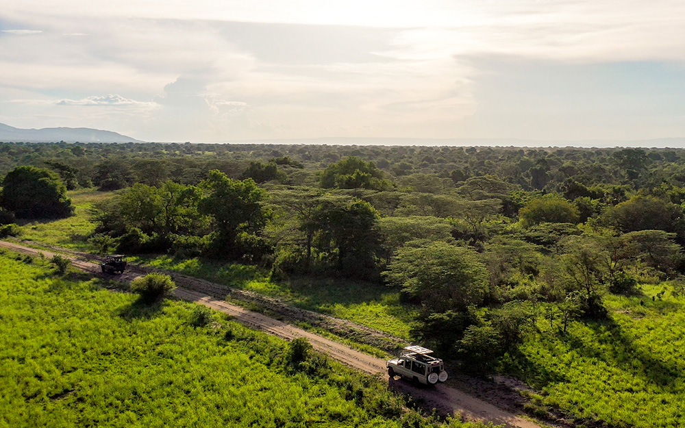 Semuliki National Park landscape