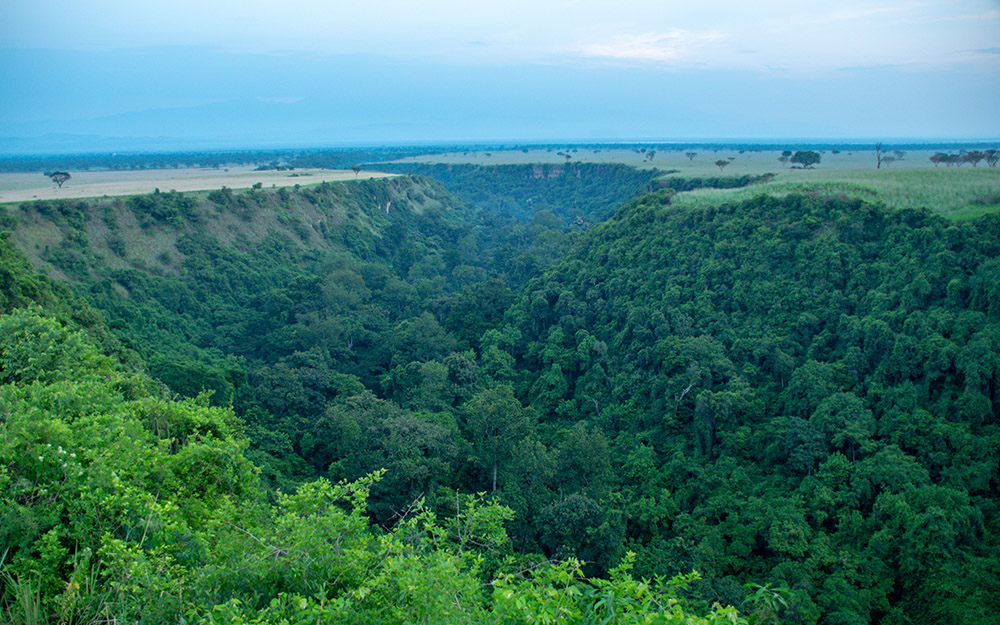 The Kyambura Gorge