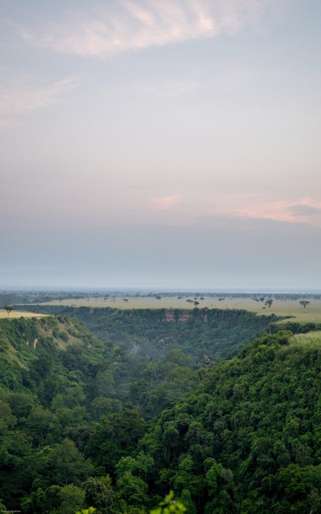 The Kyambura gorge - the valley of apes