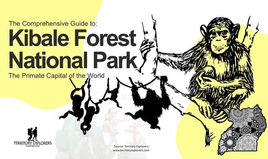 Kibale Forest National Park