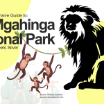 The Ultimate Guide to Mgahinga National Park