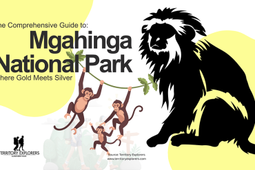 The Ultimate Guide to Mgahinga National Park