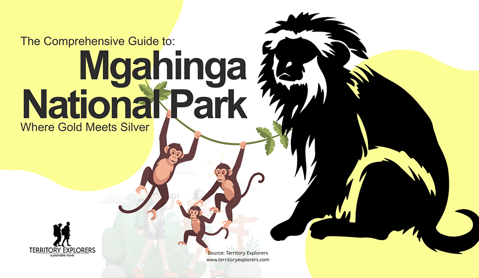 The Ultimate Guide to Mgahinga National Park