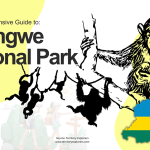 The Ultimate Guide to Nyungwe National Park