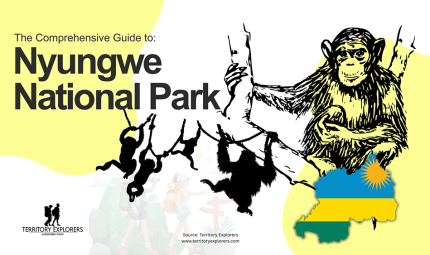 Nyungwe National Park