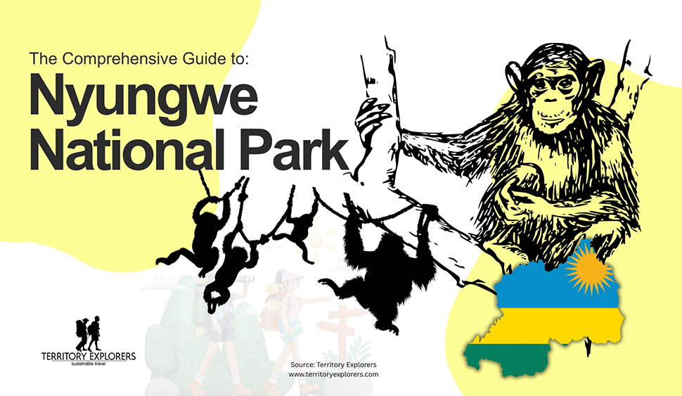 The Ultimate Guide to Nyungwe National Park