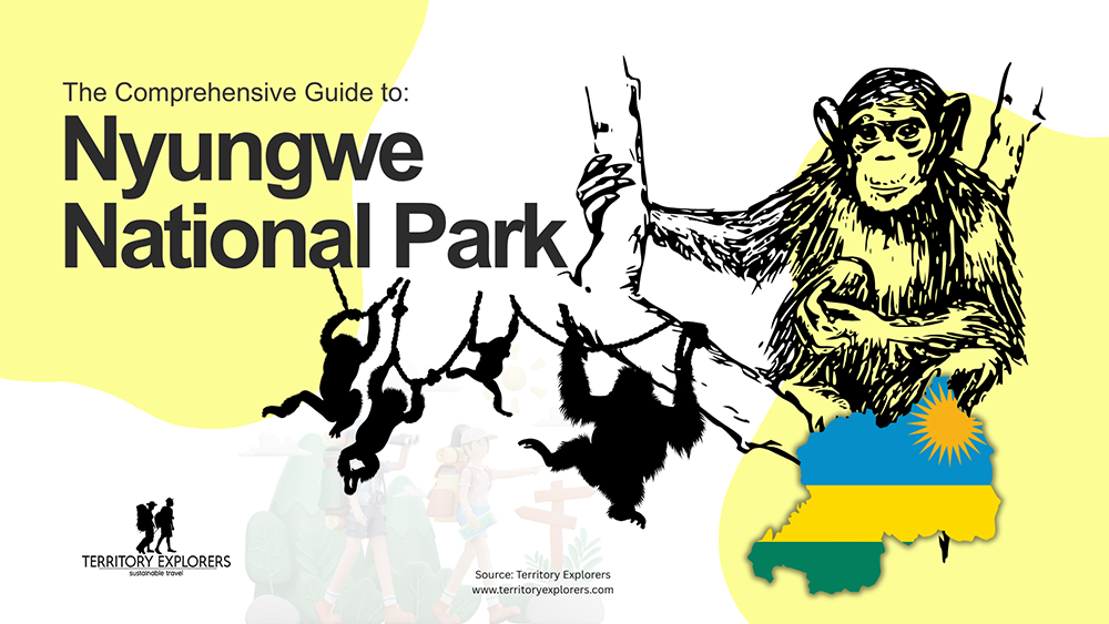 The Ultimate Guide to Nyungwe National Park