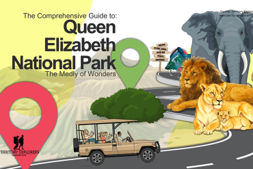 The Ultimate Guide to Queen Elizabeth National Park - Uganda. The Medley of Wonders