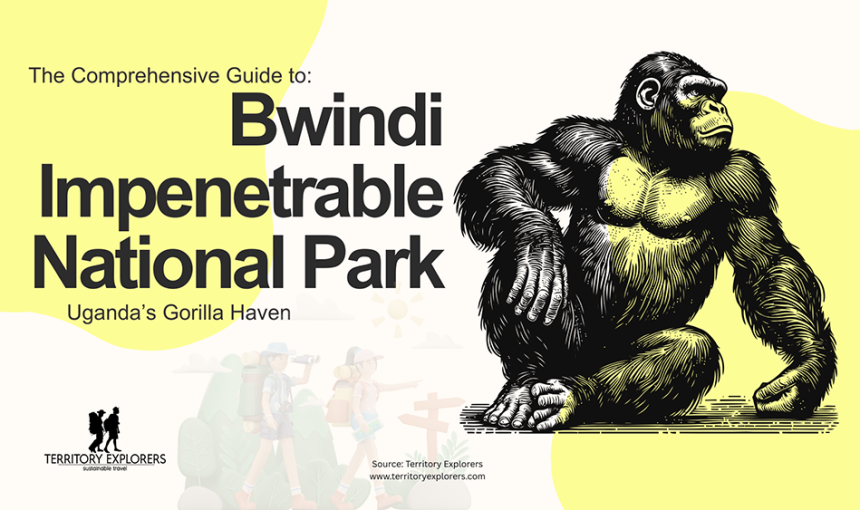 Bwindi Impenetrable National Park