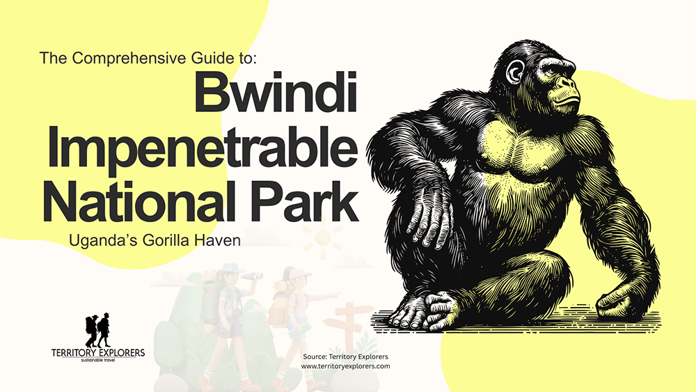 The Ultimate Guide to Things to do in Bwindi Impenetrable Forest National Park