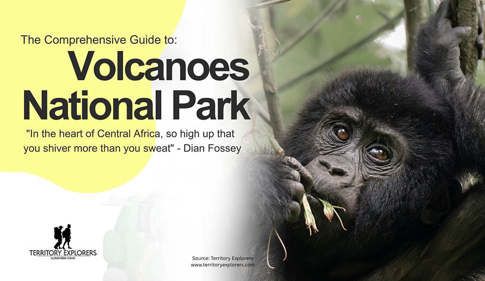 The Ultimate Guide to Volcanoes National Park