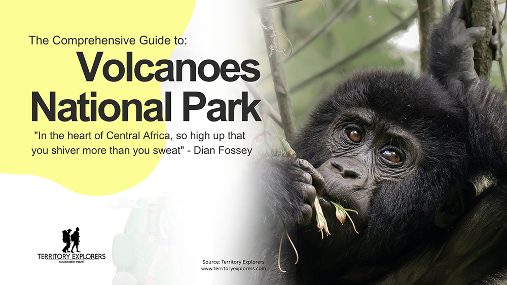 The Ultimate Guide to Volcanoes National Park