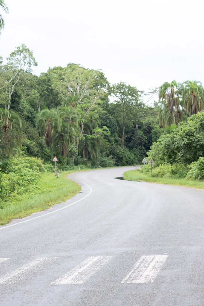 The roads inside Kibale Forest National Park