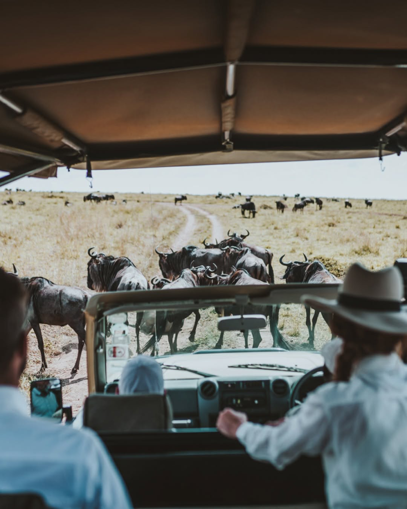 Tourists enjoying the Great Wildebeest migration in Masai Mara National Reserve