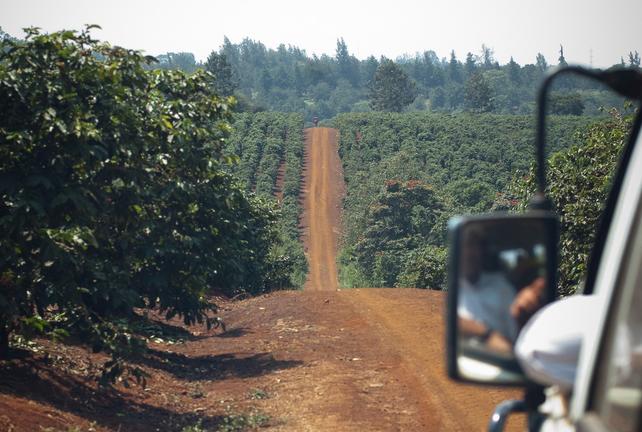 Tourists on a coffee tour in Kenya